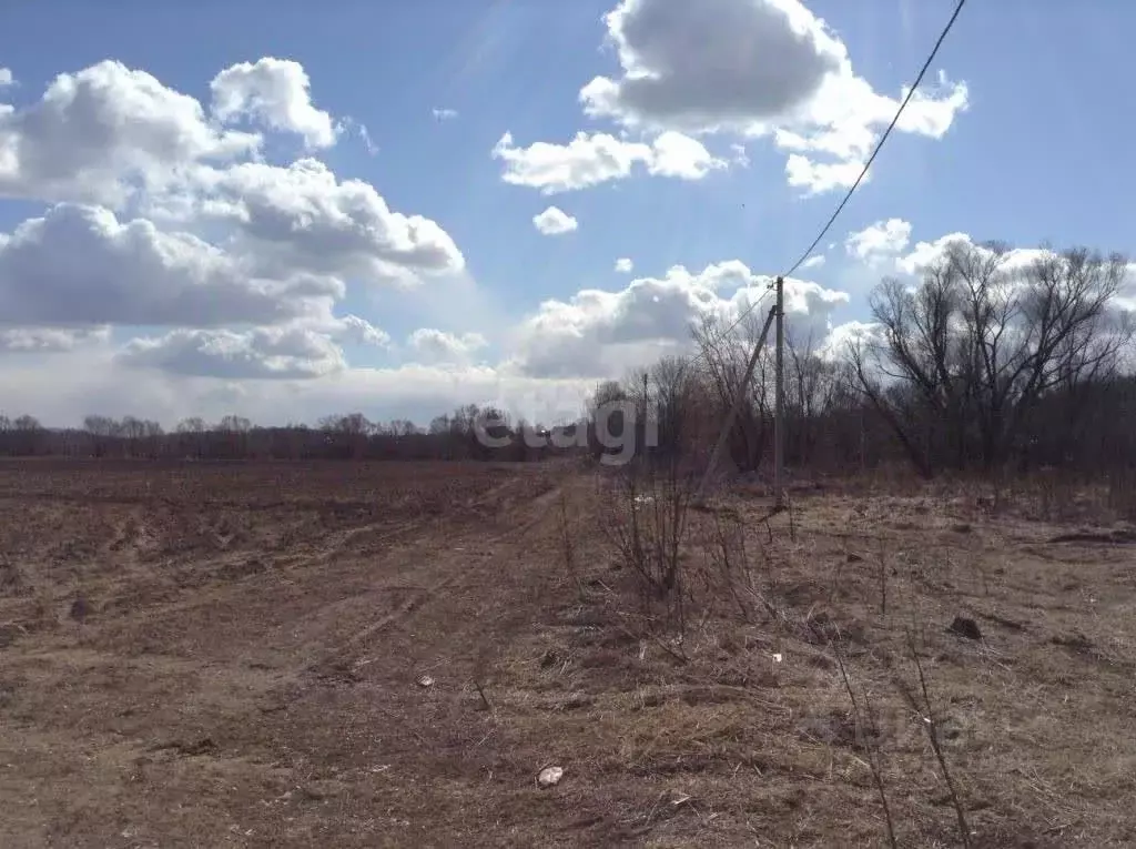 Участок в Нижегородская область, Навашинский муниципальный округ, с. ... - Фото 2