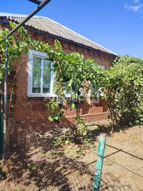 Дом в Краснодарский край, Тимашевский район, Медведовское с/пос, ... - Фото 1