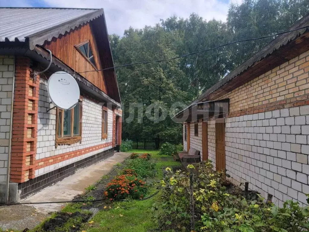 Дом в Новосибирская область, Краснозерский район, Половинский ... - Фото 2