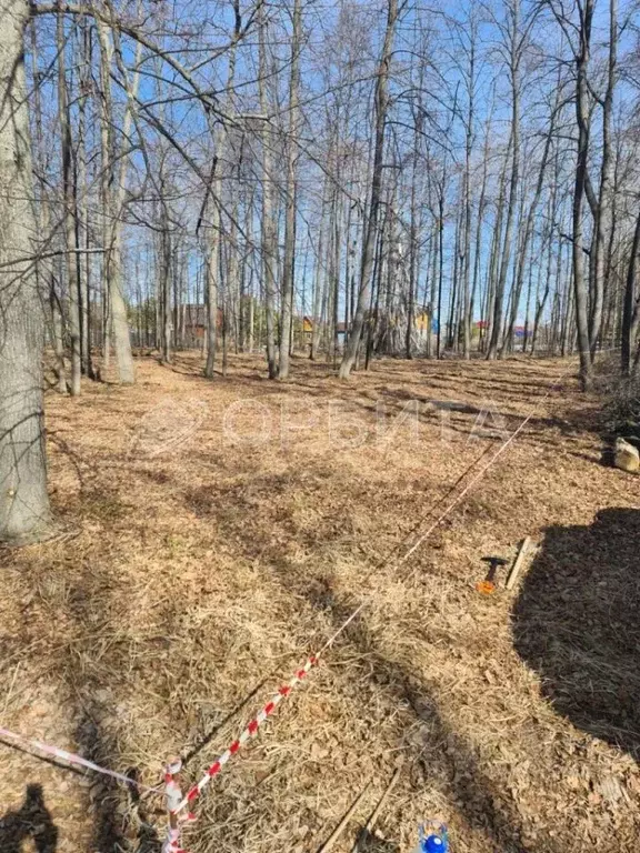 Участок в Тюменская область, Нижнетавдинский район, Геолог-2 СНТ  ... - Фото 1