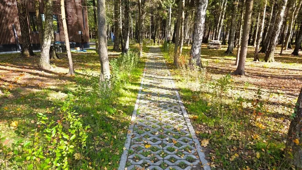 Участок в Московская область, Мытищи городской округ, д. Юрьево  (6.0 ... - Фото 2