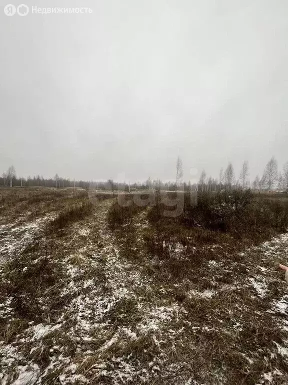 Участок в Ярославский муниципальный округ, деревня Ермолово (7.6 м) - Фото 1