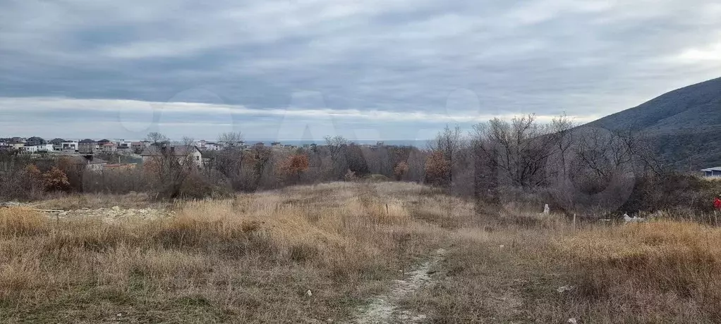 Участок 4 сот. (СНТ, ДНП) - Фото 1