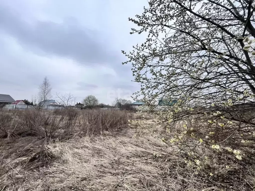 Участок в Орловская область, Орловский муниципальный округ, д. Гать ... - Фото 1