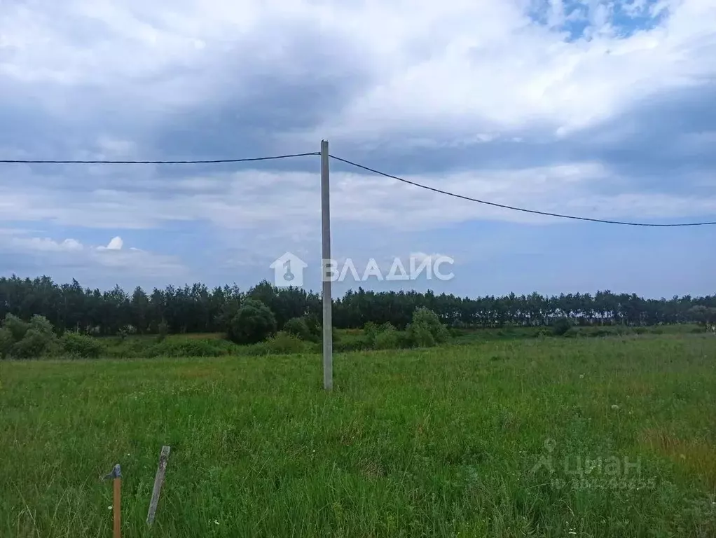 Участок в Тамбовская область, Тамбовский муниципальный округ, д. ... - Фото 1