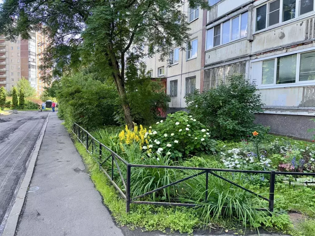 2-к кв. Санкт-Петербург ул. Асафьева, 10 (45.9 м) - Фото 1