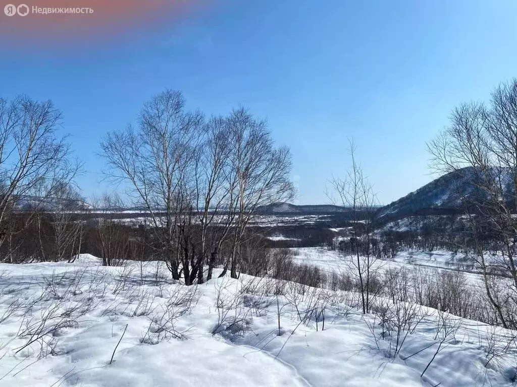 Участок в Камчатский край, Мильковский муниципальный округ, село ... - Фото 0
