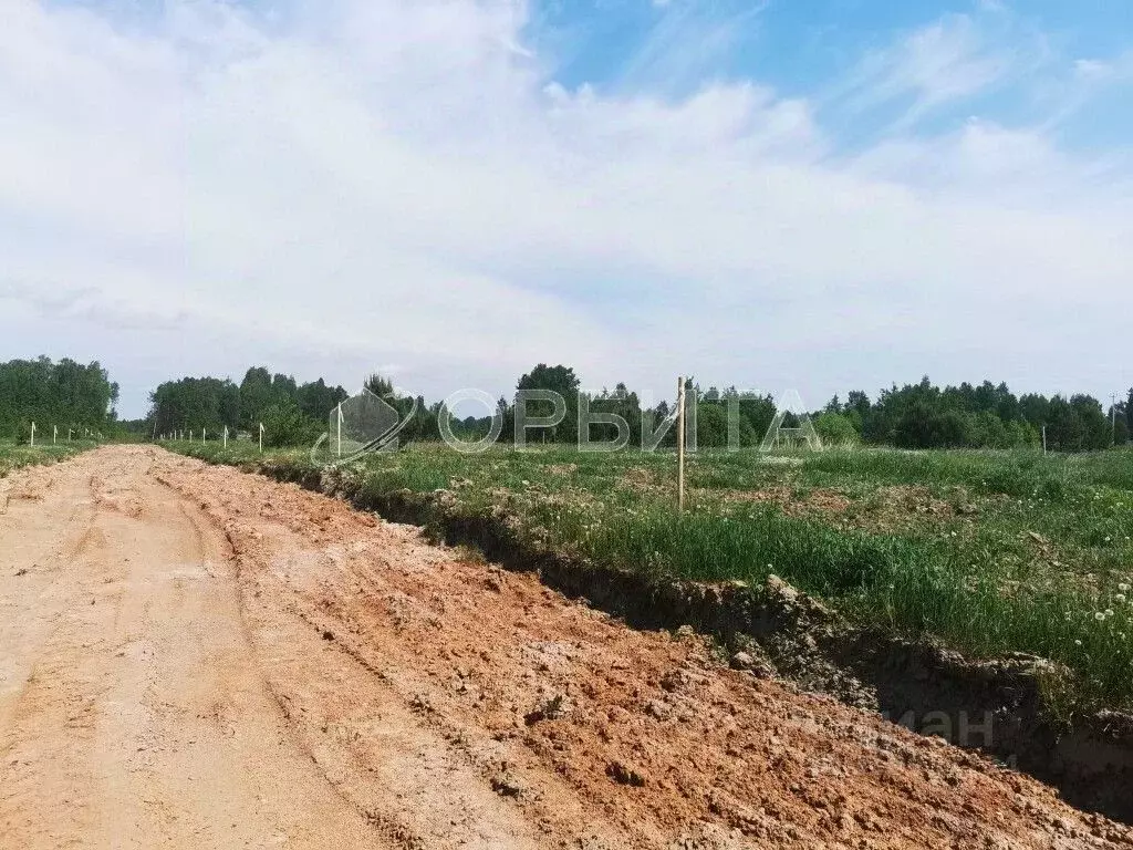 Участок в Тюменская область, Тюменский район, с. Каменка  (10.0 сот.) - Фото 0