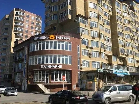 1-к кв. Краснодарский край, Анапа Анапское ш., 1г (50.7 м) - Фото 1