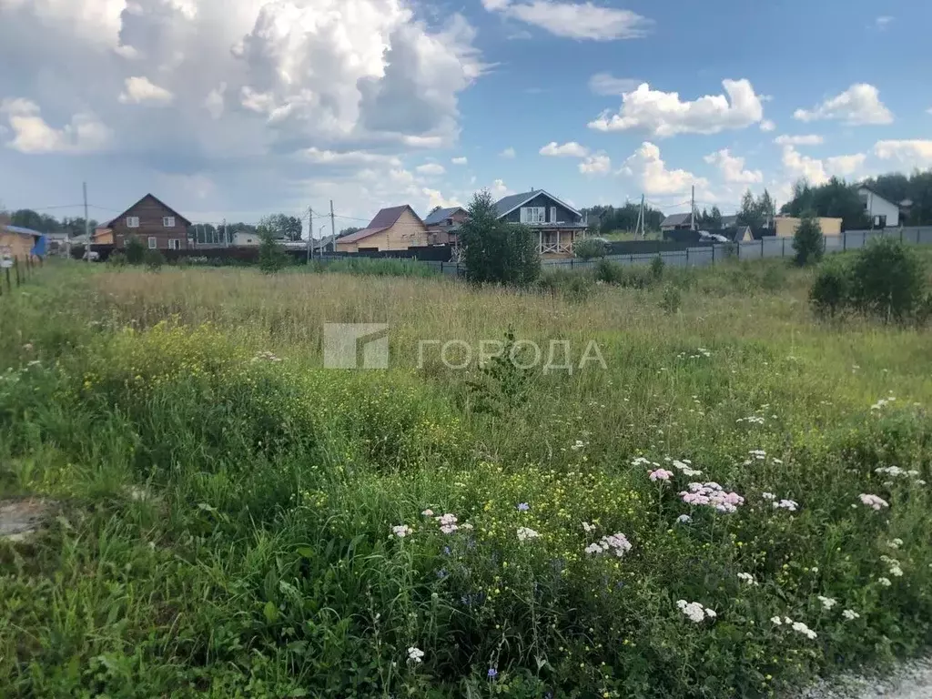 Участок в Новосибирская область, Новосибирский район, Березовский ... - Фото 2