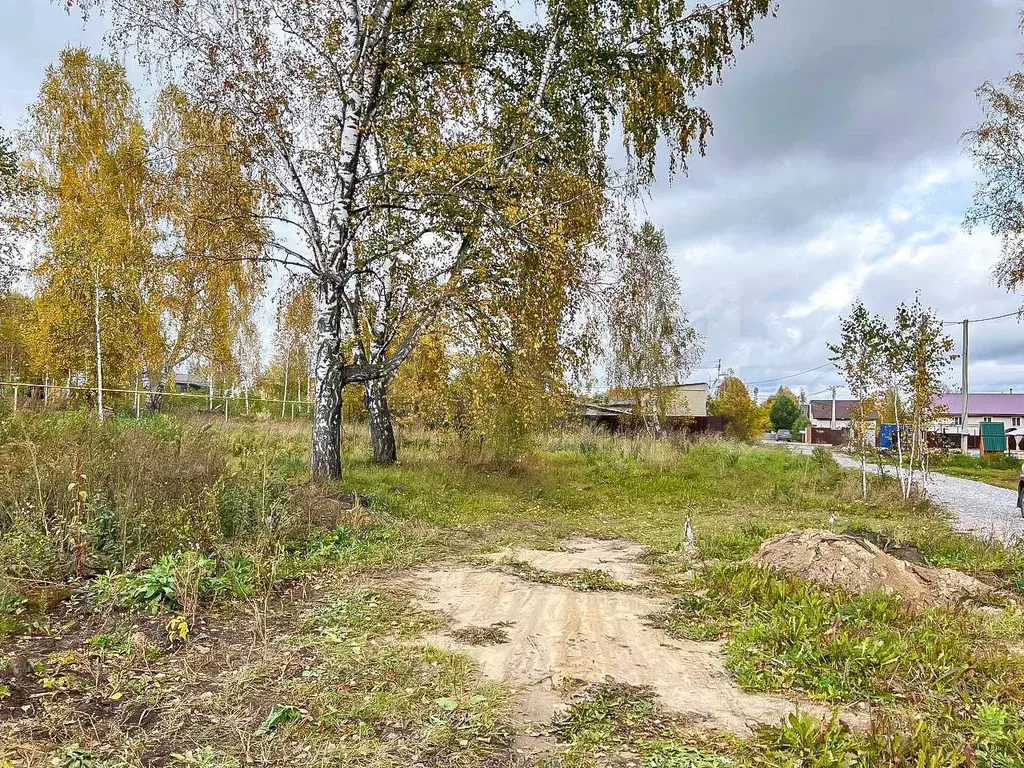 Участок 10 сот. (СНТ, ДНП) - Фото 0