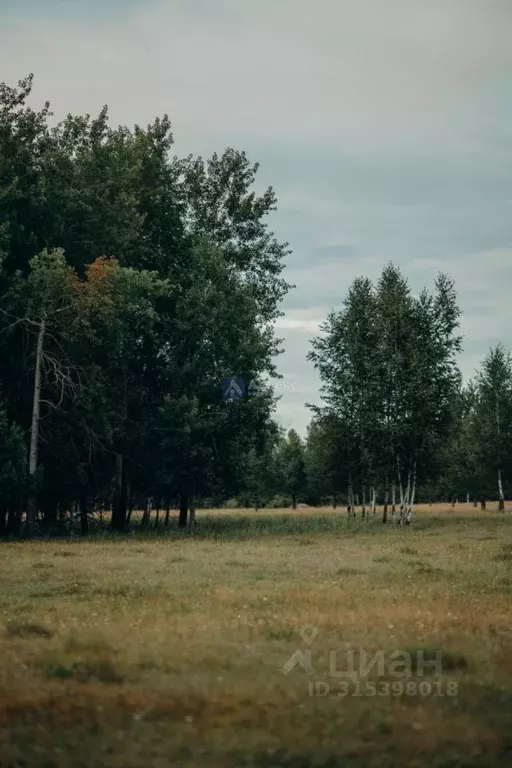 Участок в Тюменская область, Нижнетавдинский район, д. Московка  (11.0 ... - Фото 0