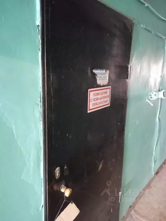 Помещение свободного назначения в Алтайский край, Барнаул ул. ... - Фото 1