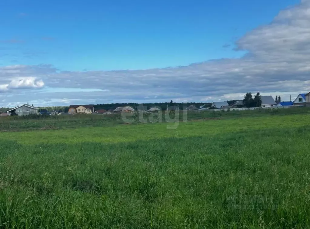 Участок в Тюменская область, Тюменский муниципальный округ, с. Успенка ... - Фото 2