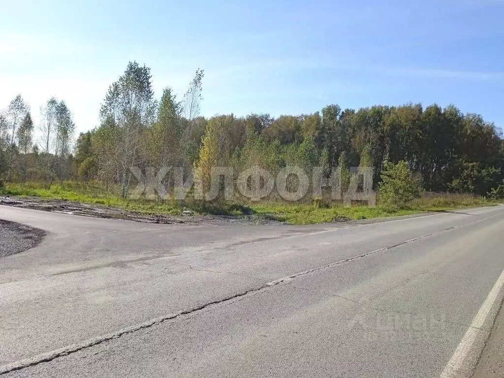 Участок в Новосибирская область, Новосибирский район, Барышевский ... - Фото 2