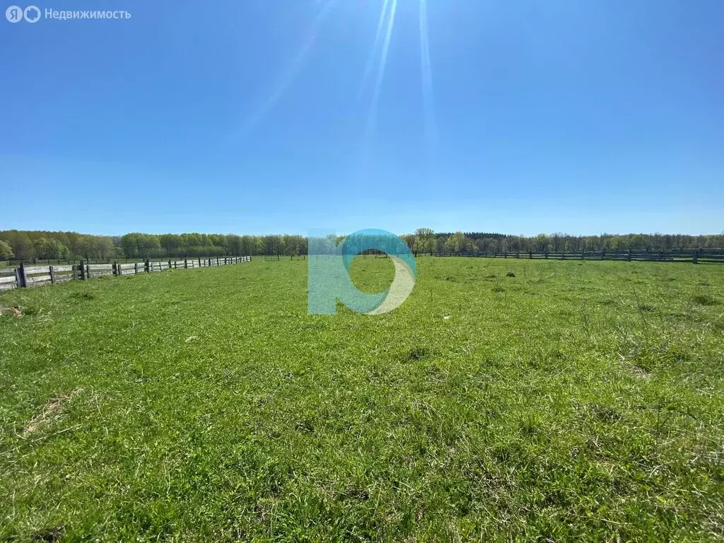 Дом в деревня Белорус-Александровка, Ольховая улица (34.3 м) - Фото 1