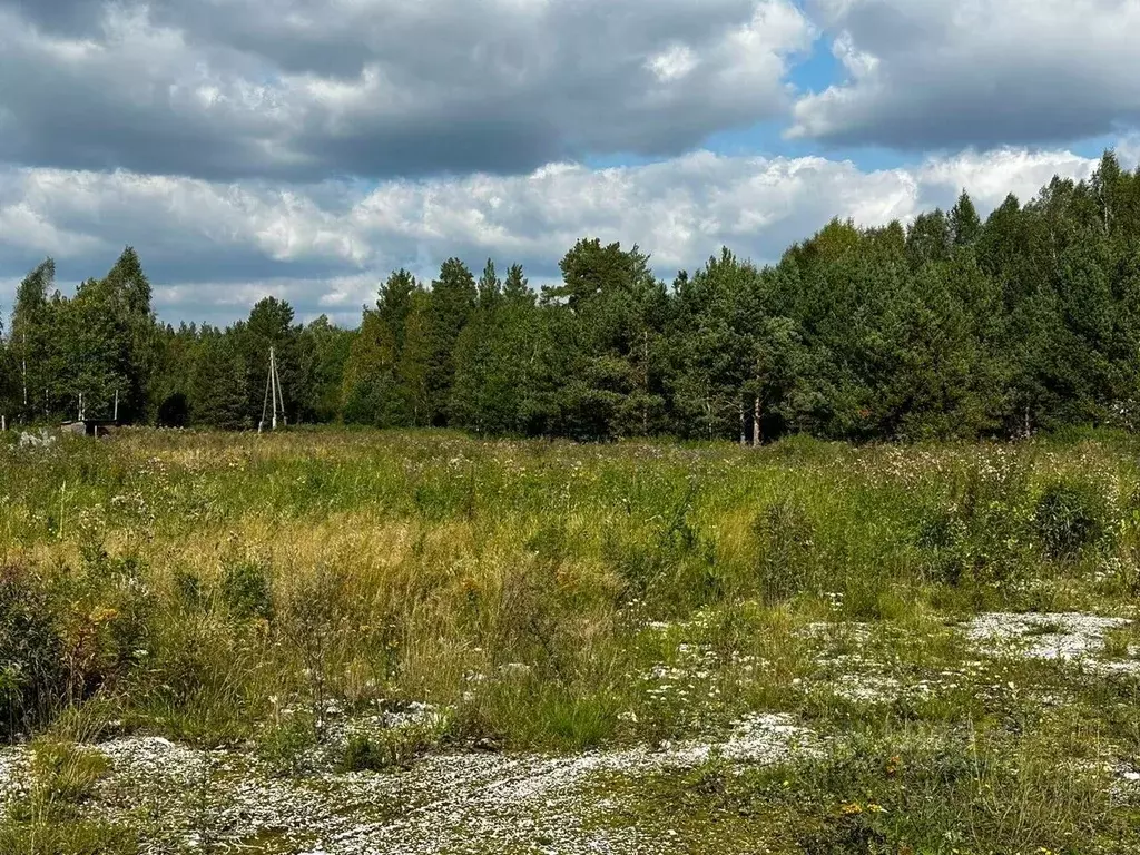 Участок в Свердловская область, Полевской городской округ, пос. ... - Фото 0