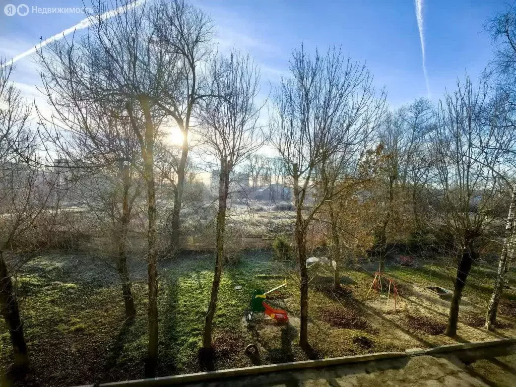 1-комнатная квартира: Кострома, улица Ленина, 145 (30.4 м) - Фото 2