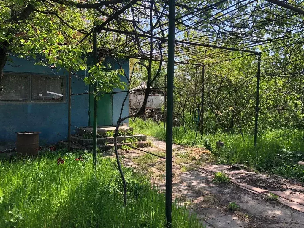 Дом в Ростовская область, Мясниковский район, с. Большие Салы  (45 м) - Фото 0