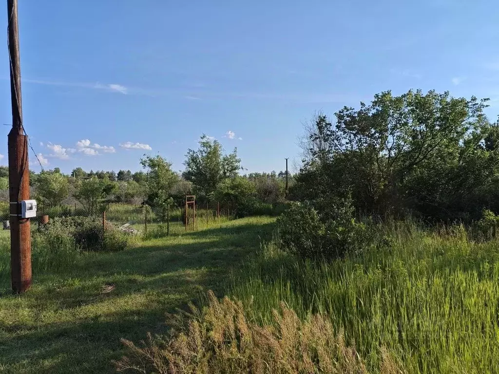 Участок в Саратовская область, Энгельсский район, Красноярское ... - Фото 1