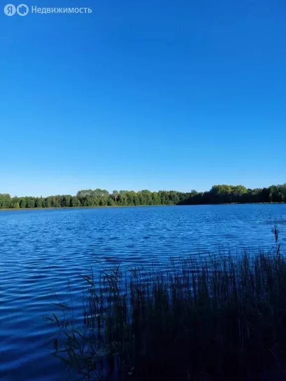 участок в лужский район, серебрянское сельское поселение, деревня . - Фото 0