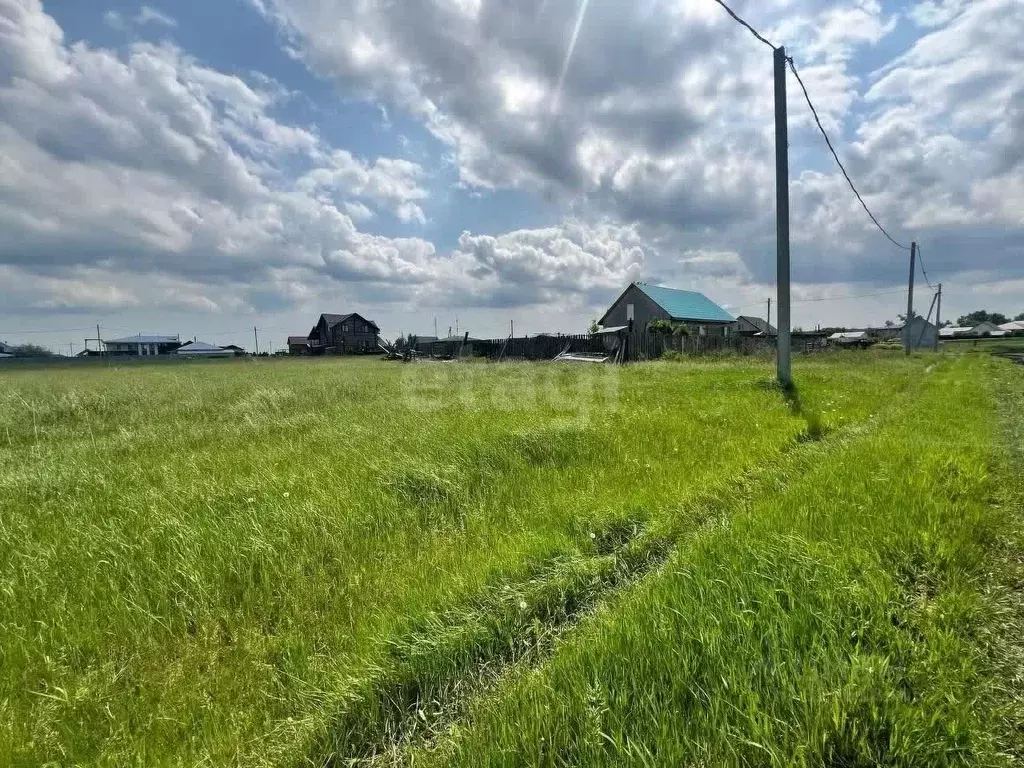 Участок в Новосибирская область, Новосибирский район, Толмачевский ... - Фото 1