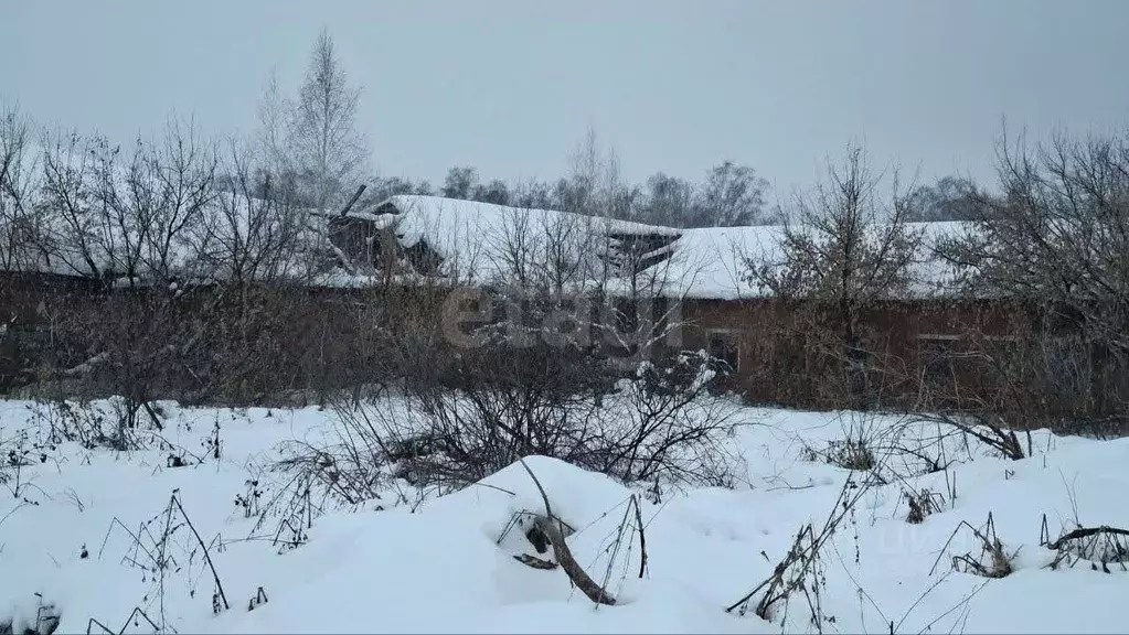 Склад в Новосибирская область, Ордынский район, пос. Чернаково ул. ... - Фото 2