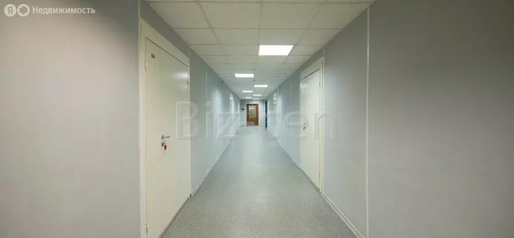 Офис (41.1 м) - Фото 2