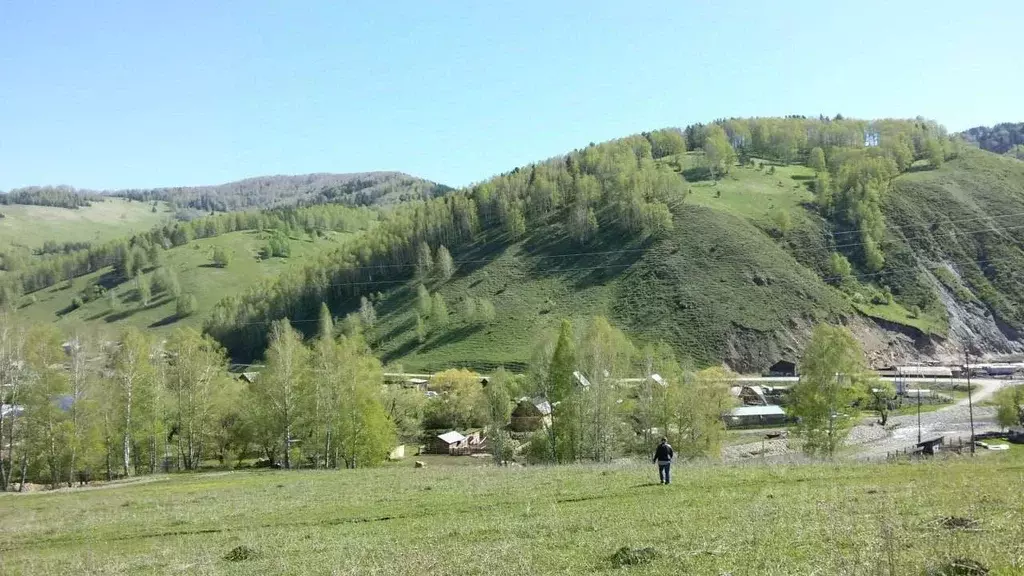 Участок в Алтай, Майминский район, с. Бирюля ул. Луговая (999.0 сот.) - Фото 1