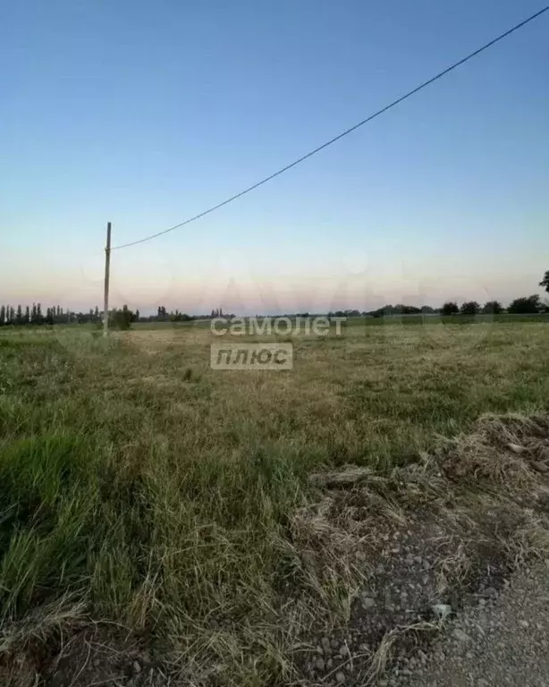 Участок в Краснодарский край, Тимашевский район, Медведовское с/пос, ... - Фото 1