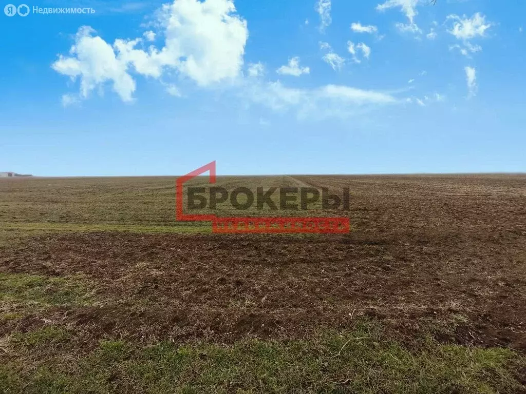 Участок в Сакский район, село Молочное (9.9 м) - Фото 2