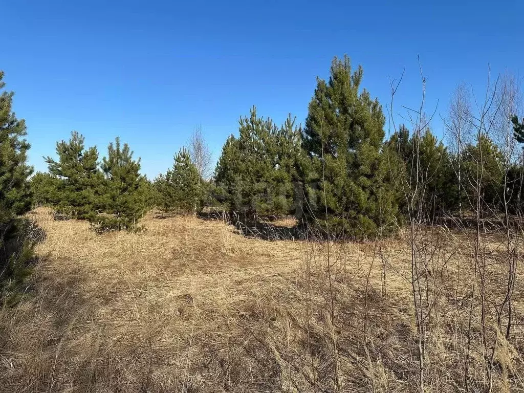 Участок в Владимирская область, Вязниковский район, Мстера ... - Фото 2