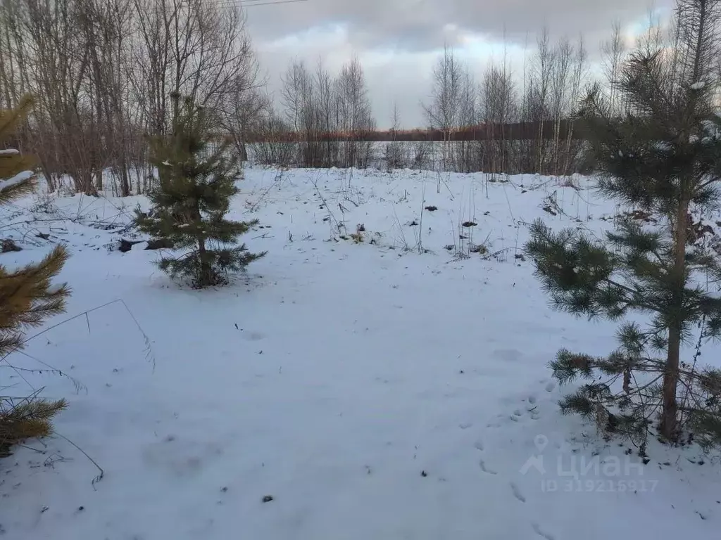 Участок в Московская область, Клин городской округ, д. Бирево  (10.0 ... - Фото 1