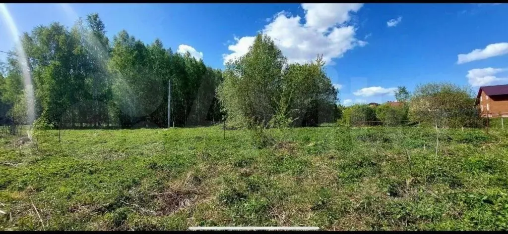 Участок в Нижегородская область, Богородский муниципальный округ, д. ... - Фото 1