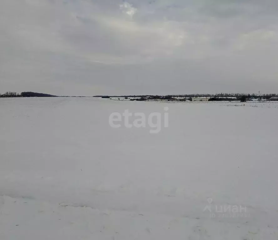 Участок в Белгородская область, Вейделевский район, с. Зенино  (20.0 ... - Фото 2