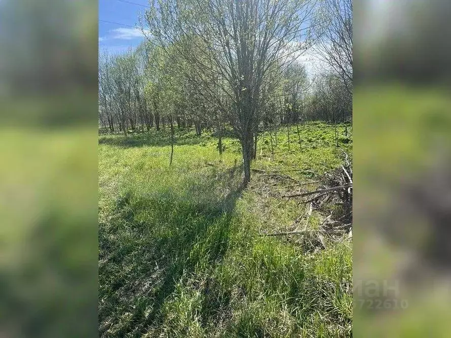 Участок в Ленинградская область, Волосовский район, д. Большая Вруда 3 ... - Фото 2