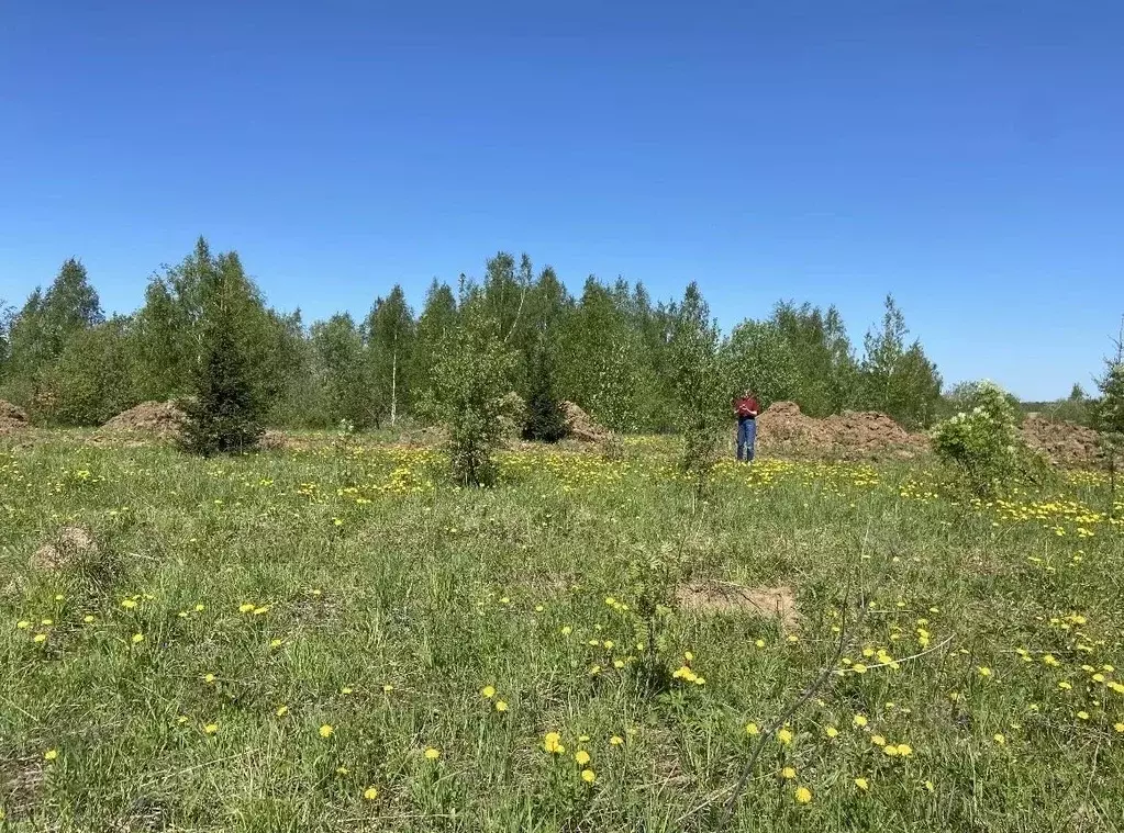 Участок в Московская область, Дмитровский муниципальный округ, д. ... - Фото 1