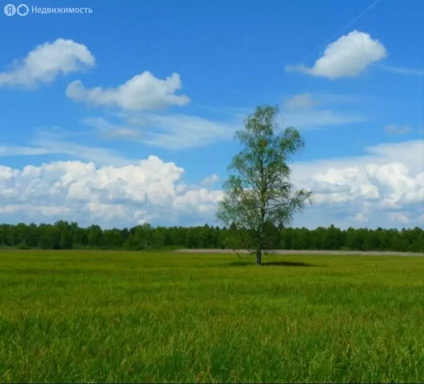 Участок в село Бондари, Придорожная улица (14 м) - Фото 2
