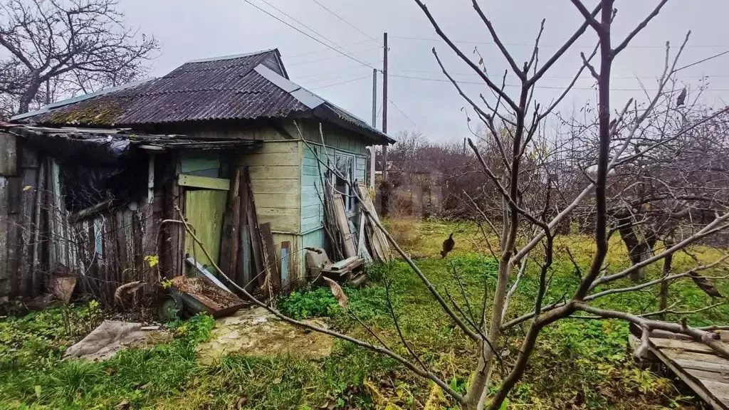 Участок в Брянская область, Брянск Коммунальник садовое общество,  ... - Фото 2