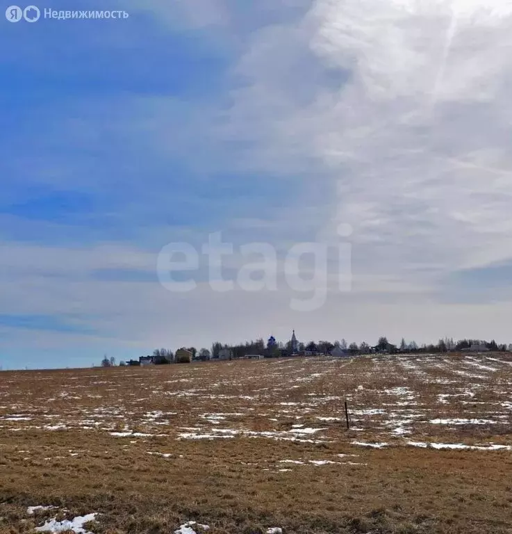 Участок в Ярославский муниципальный округ, село Лучинское (65 м) - Фото 2