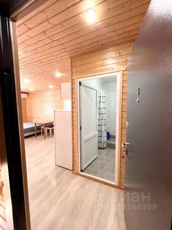 Комната Краснодарский край, Сочи городской округ, Дагомыс пгт ул. ... - Фото 2