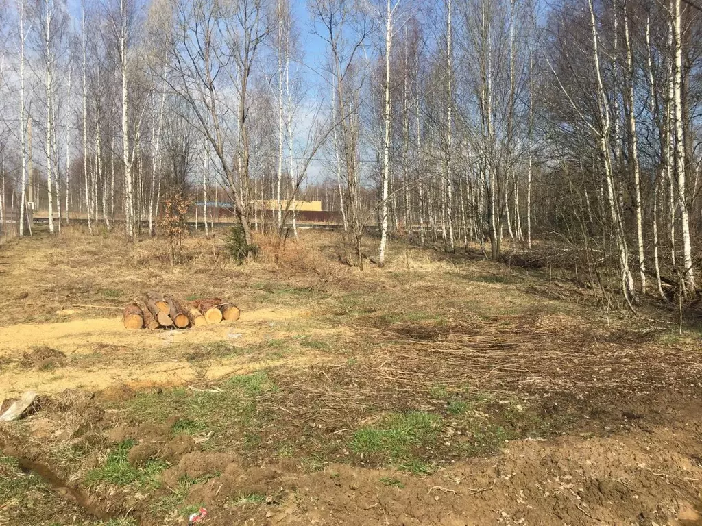 Участок в Московская область, Пушкинский городской округ, д. Могильцы  ... - Фото 0