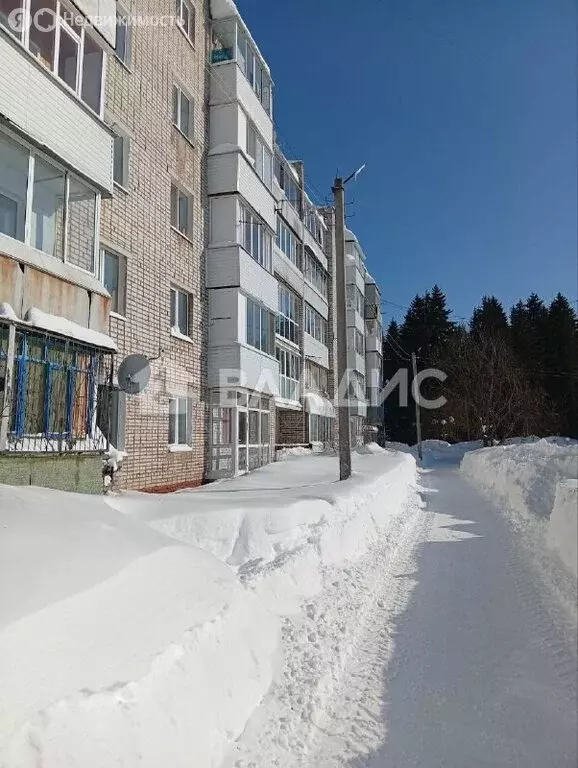 1-комнатная квартира: посёлок Сылва, Молодёжная улица, 12 (32.5 м) - Фото 1