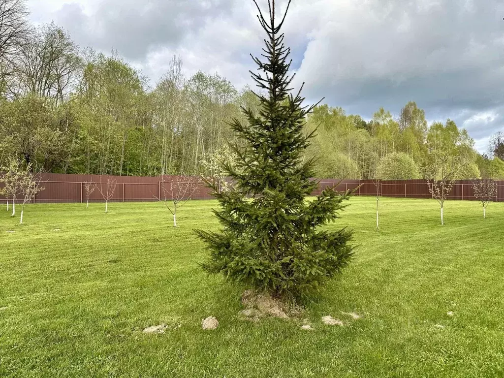 Участок в Московская область, Истра муниципальный округ, Снегири пгт ... - Фото 2
