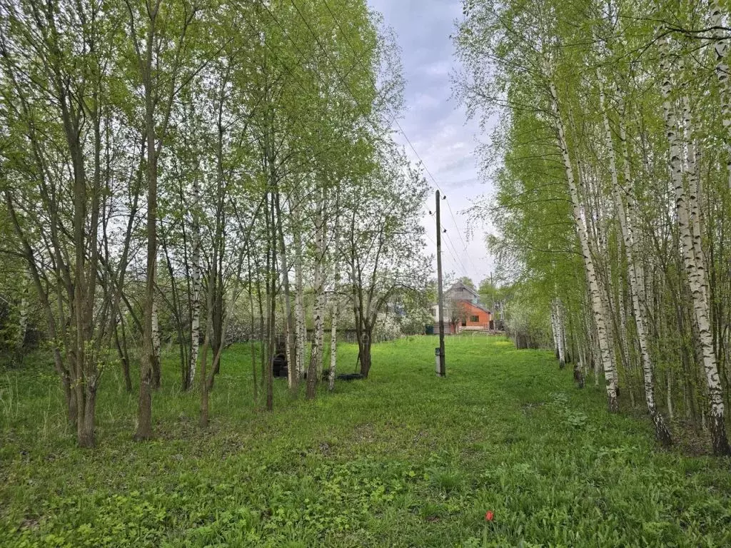 Участок в Нижегородская область, Нижний Новгород д. Бешенцево, 72 (4.5 ... - Фото 1