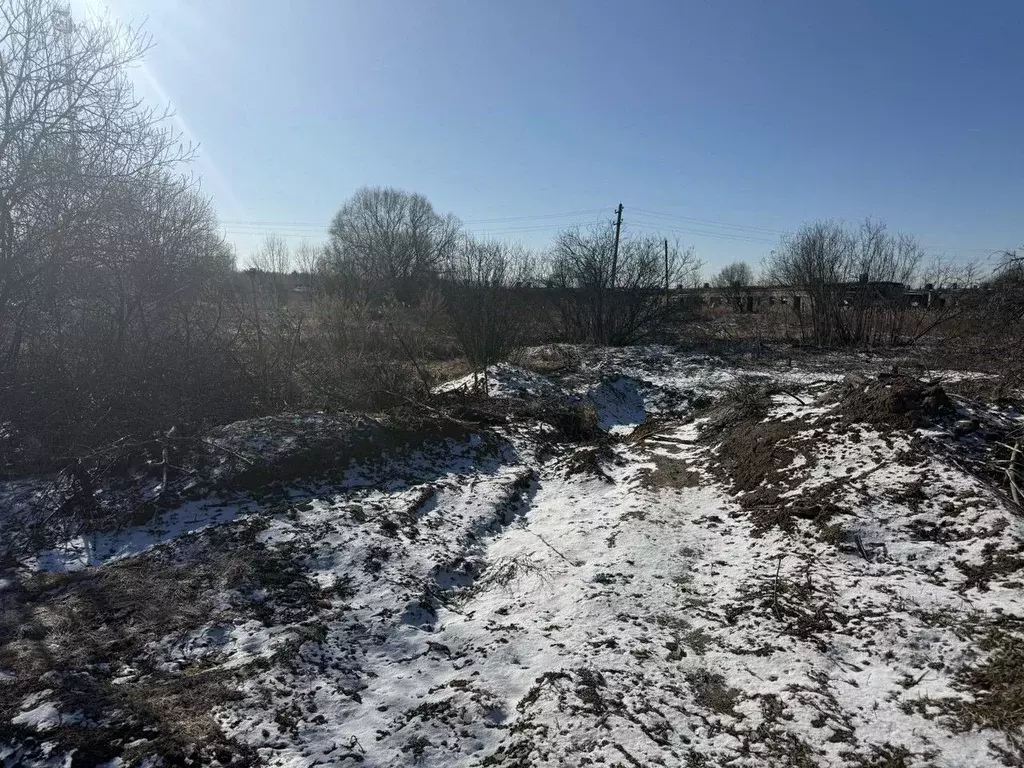 Участок в Московская область, Пушкинский городской округ, Царевское ... - Фото 1