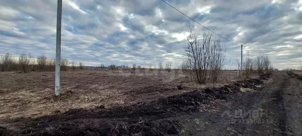 Участок в Брянская область, Брянский район, Отрадненское с/пос, с. ... - Фото 1