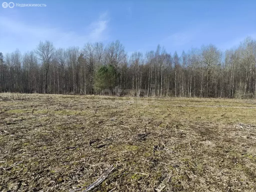 Участок в Псков, посёлок Учхоз, улица Трояновского (14.9 м) - Фото 2