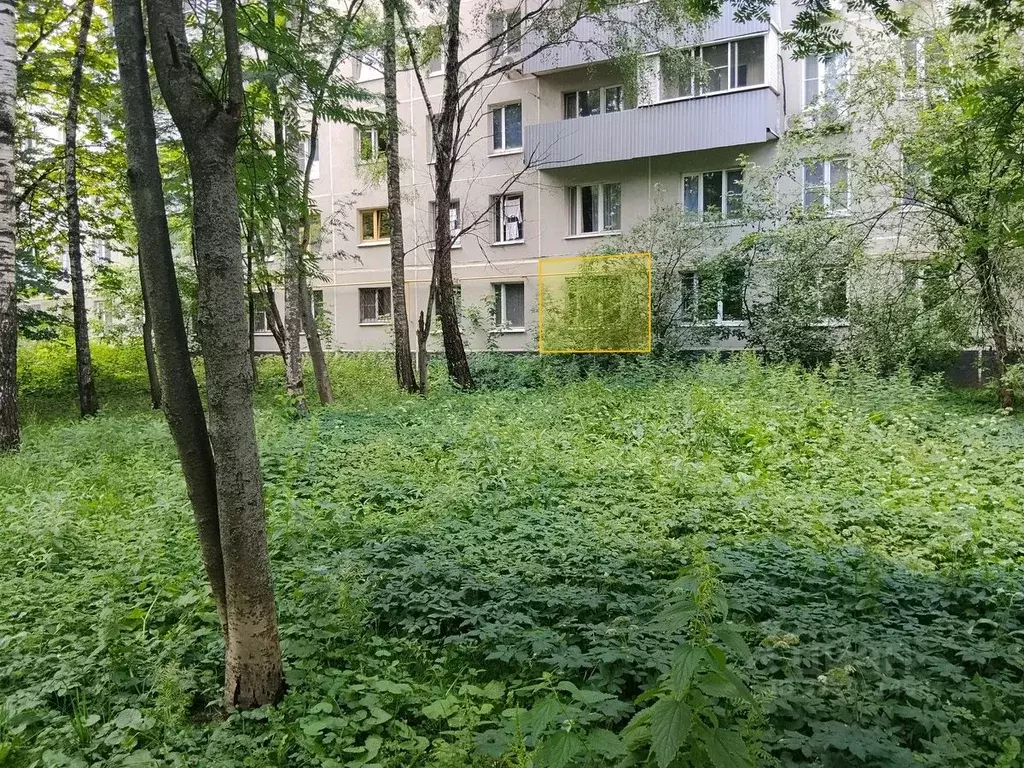 Комната Москва ул. Свободы, 97С1 (18.7 м) - Фото 2
