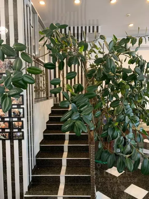 Офис в Санкт-Петербург Фермское ш., 30 (110 м) - Фото 2